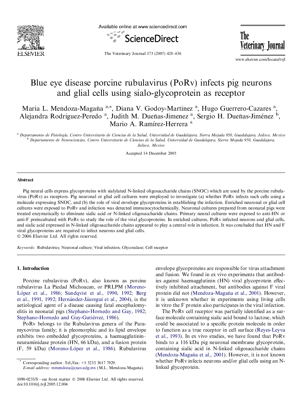 Blue eye disease porcine rubulavirus (PoRv) infects pig neurons and glial cells using sialo-glycoprotein as receptor