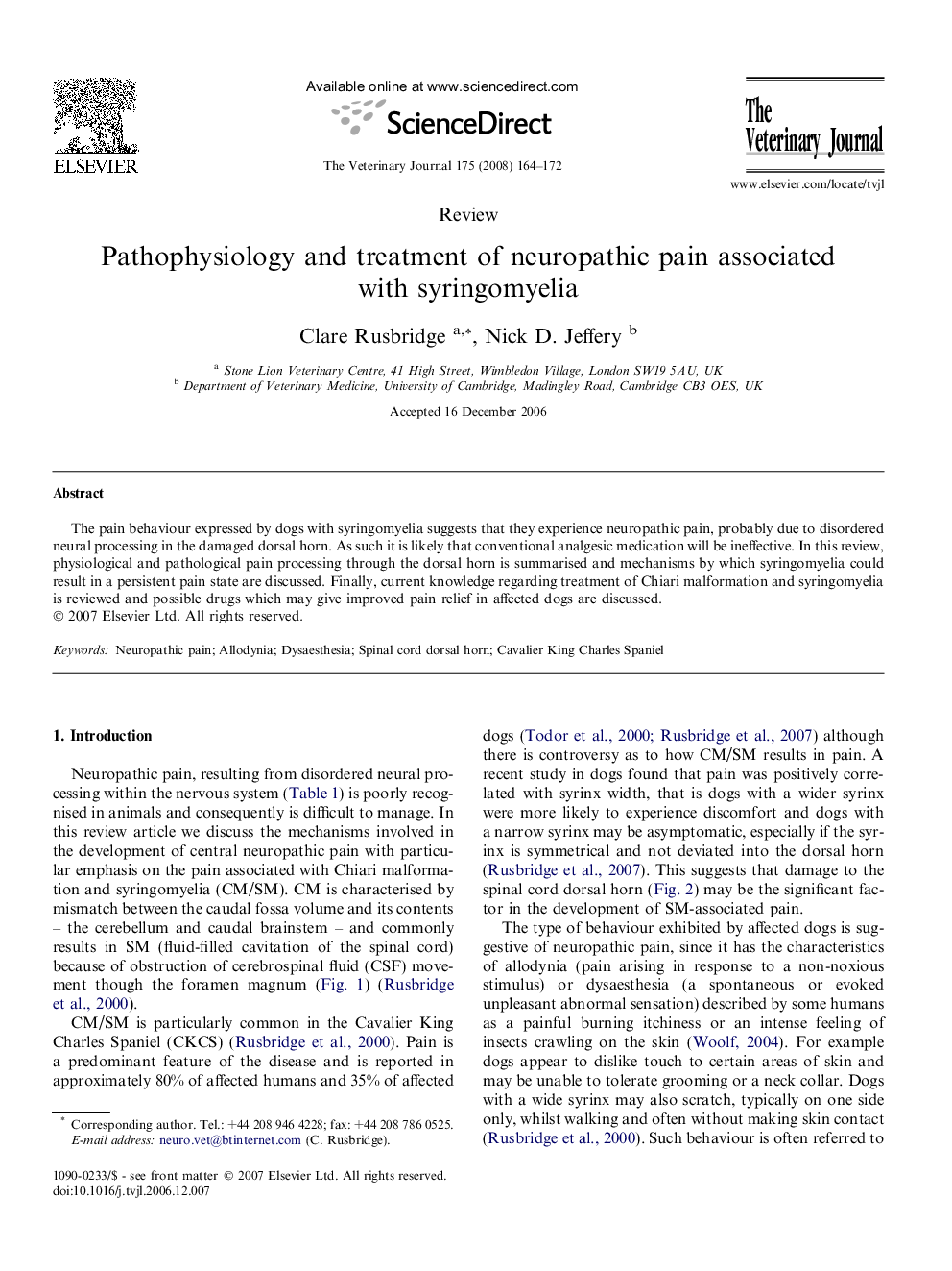 Pathophysiology and treatment of neuropathic pain associated with syringomyelia