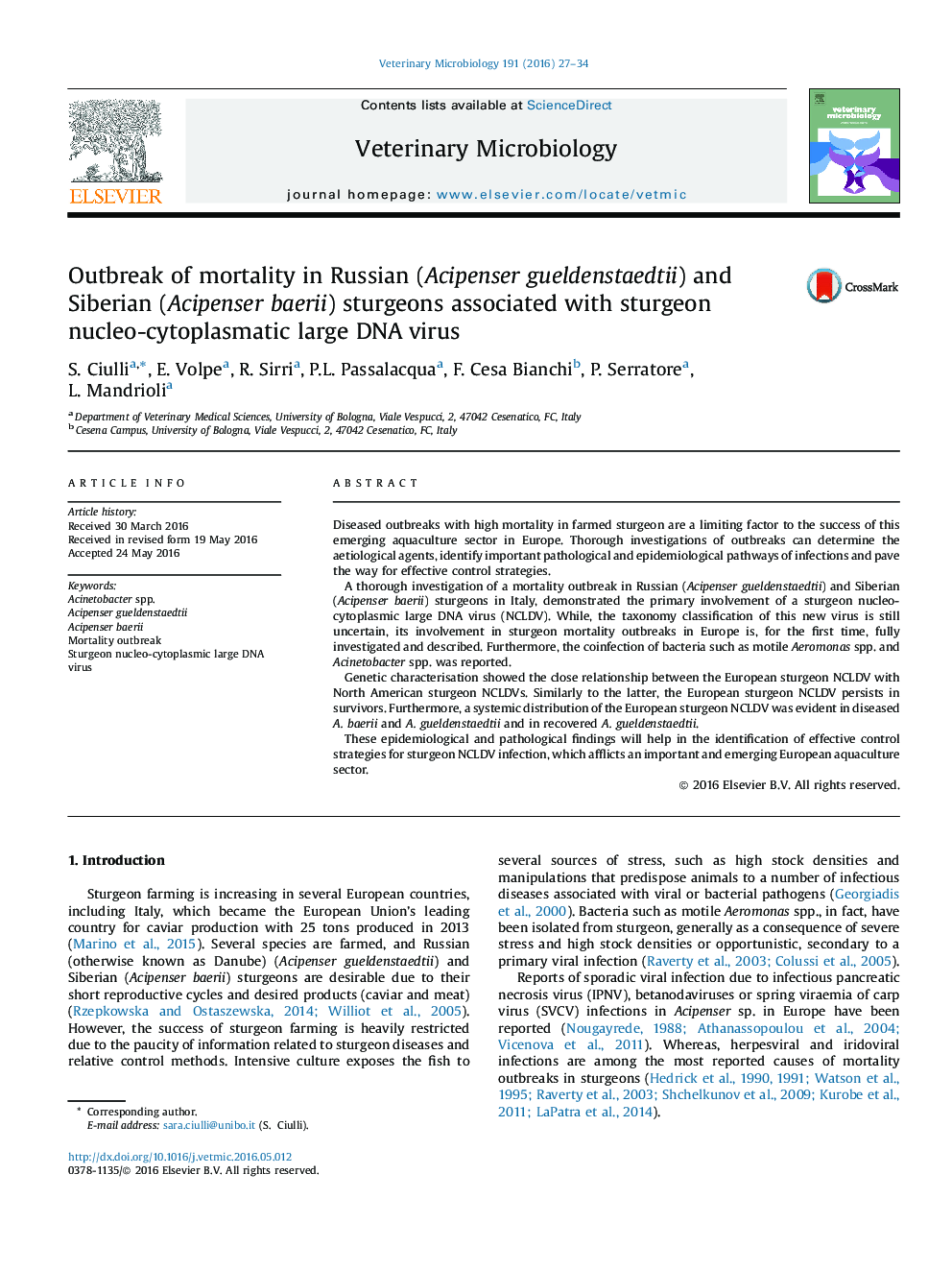 Outbreak of mortality in Russian (Acipenser gueldenstaedtii) and Siberian (Acipenser baerii) sturgeons associated with sturgeon nucleo-cytoplasmatic large DNA virus