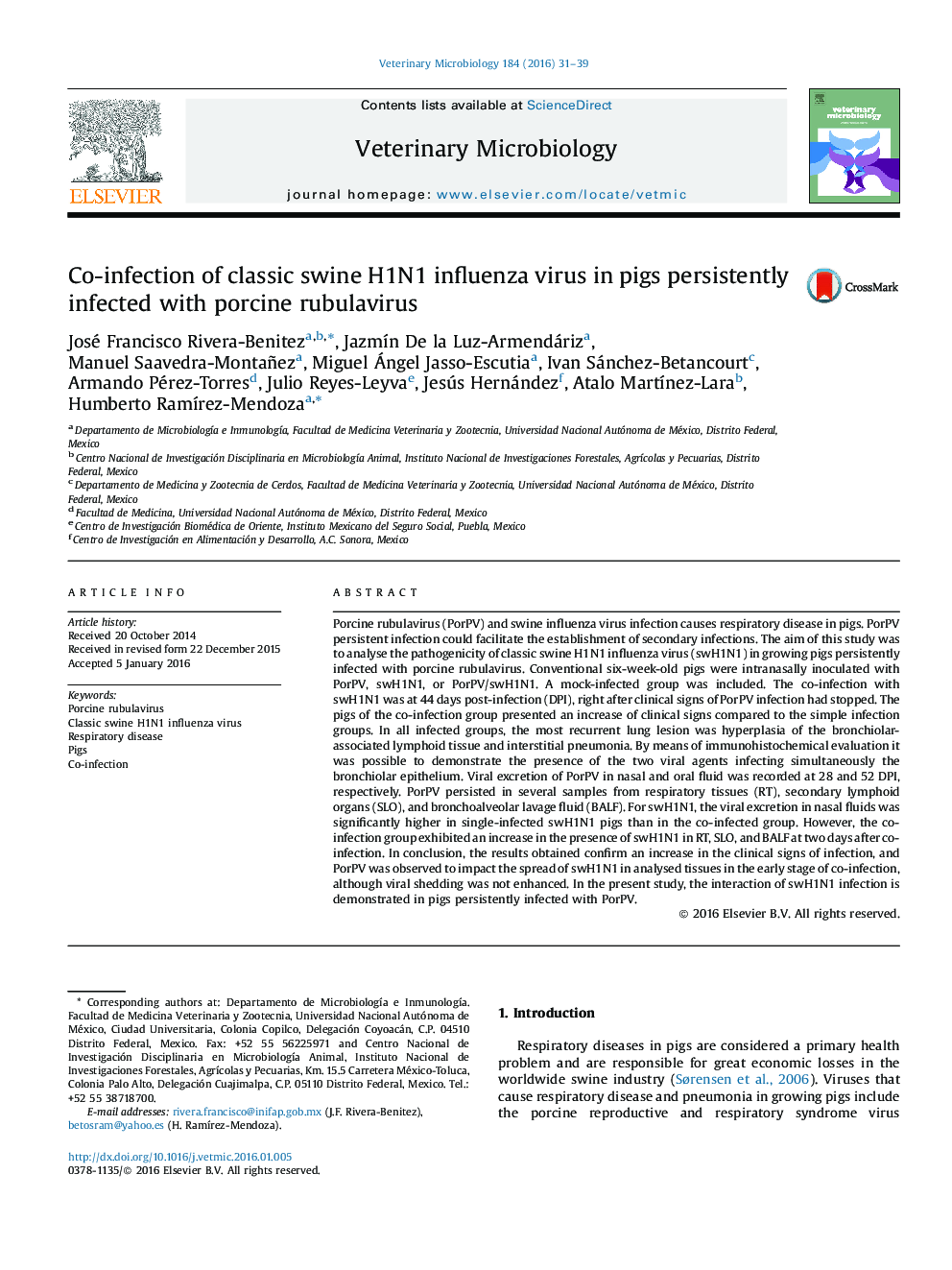 Co-infection of classic swine H1N1 influenza virus in pigs persistently infected with porcine rubulavirus