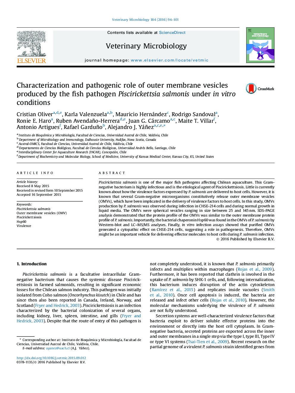 Characterization and pathogenic role of outer membrane vesicles produced by the fish pathogen Piscirickettsia salmonis under in vitro conditions