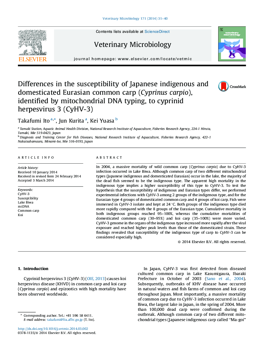 Differences in the susceptibility of Japanese indigenous and domesticated Eurasian common carp (Cyprinus carpio), identified by mitochondrial DNA typing, to cyprinid herpesvirus 3 (CyHV-3)