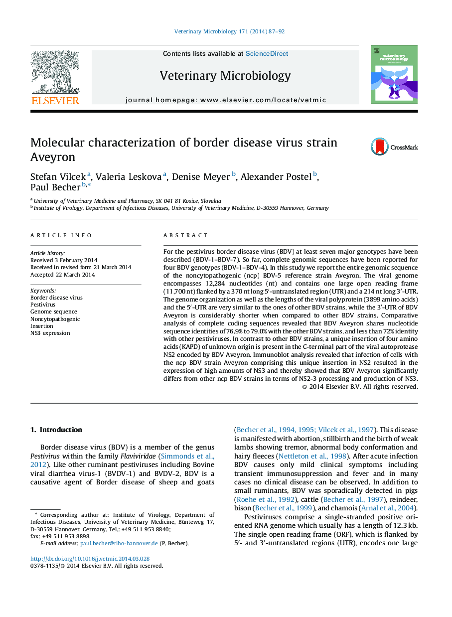 Molecular characterization of border disease virus strain Aveyron