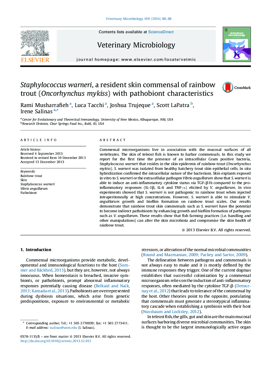 Staphylococcus warneri, a resident skin commensal of rainbow trout (Oncorhynchus mykiss) with pathobiont characteristics