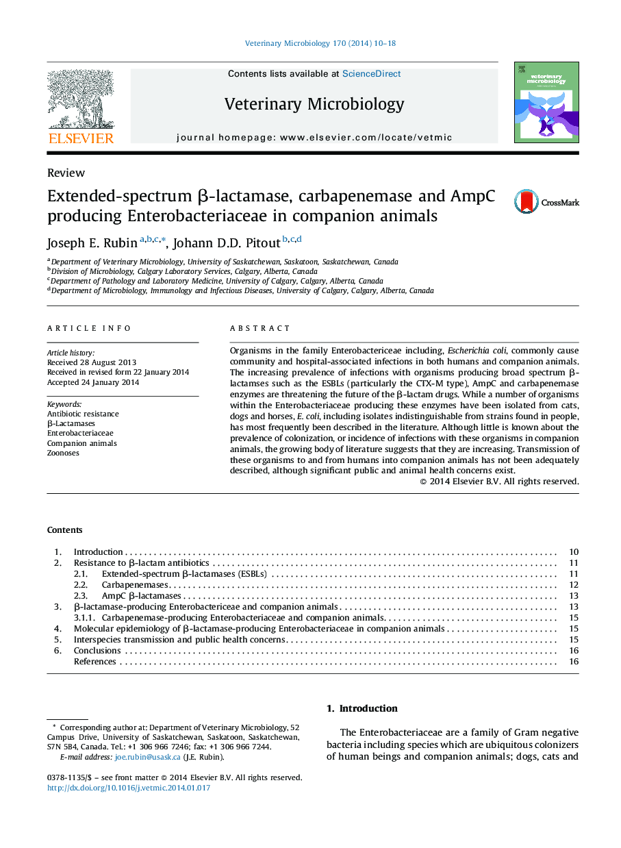 Extended-spectrum β-lactamase, carbapenemase and AmpC producing Enterobacteriaceae in companion animals
