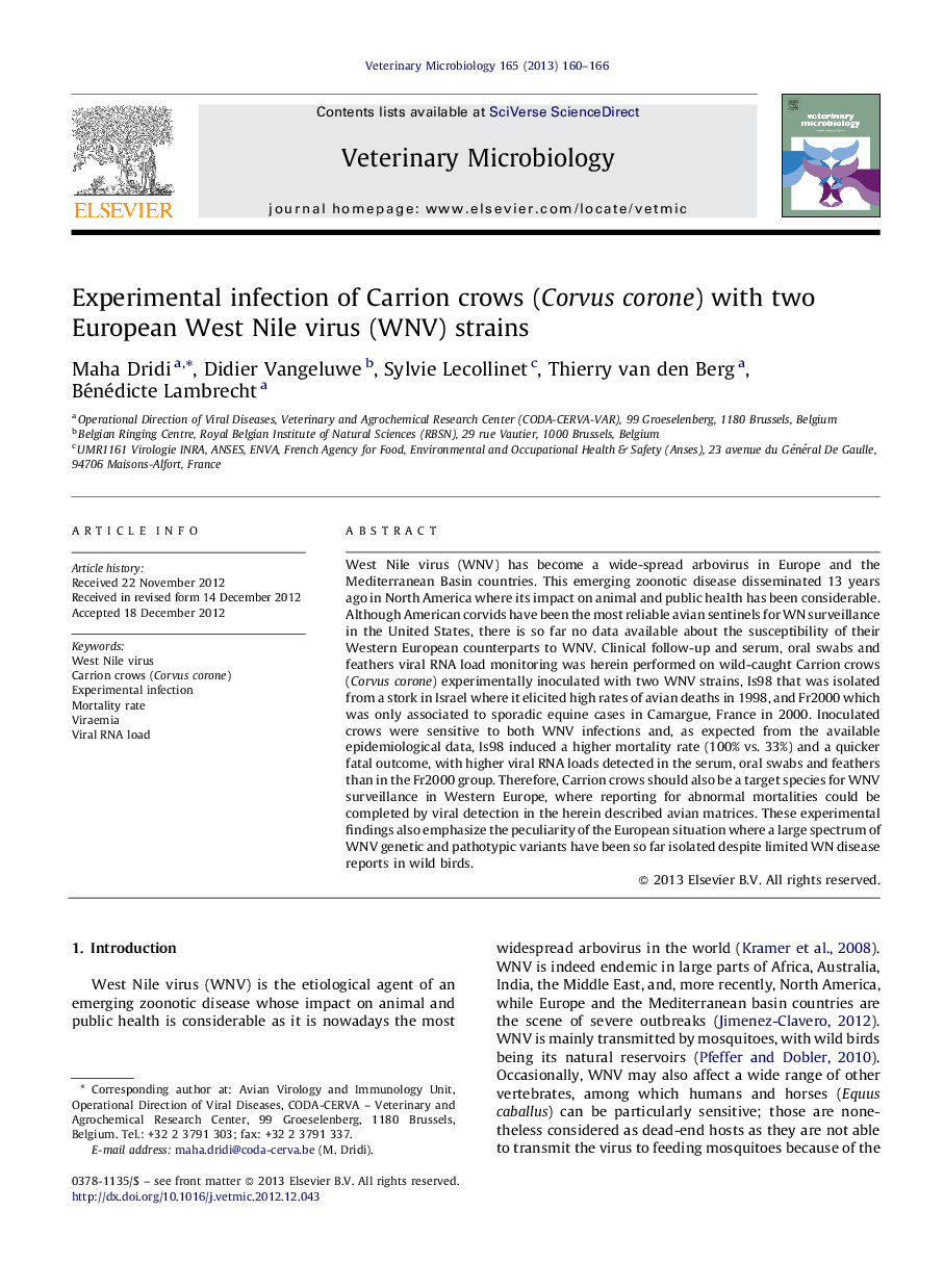 Experimental infection of Carrion crows (Corvus corone) with two European West Nile virus (WNV) strains