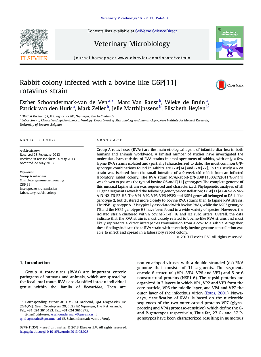 Rabbit colony infected with a bovine-like G6P[11] rotavirus strain