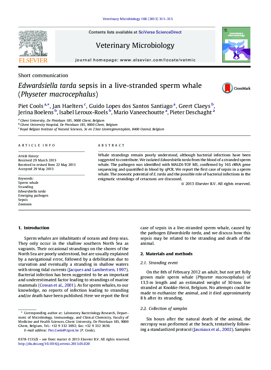 Edwardsiella tarda sepsis in a live-stranded sperm whale (Physeter macrocephalus)