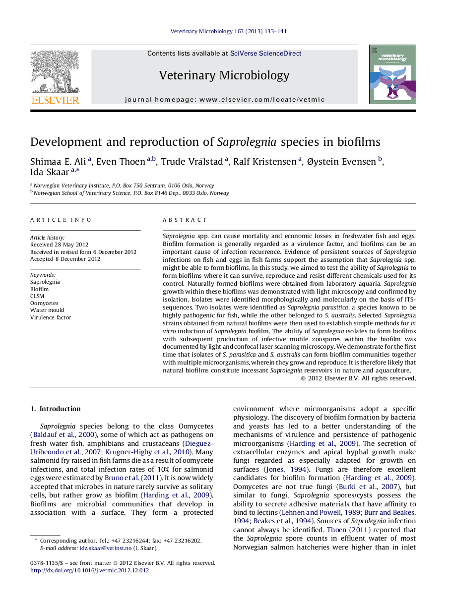 Development and reproduction of Saprolegnia species in biofilms