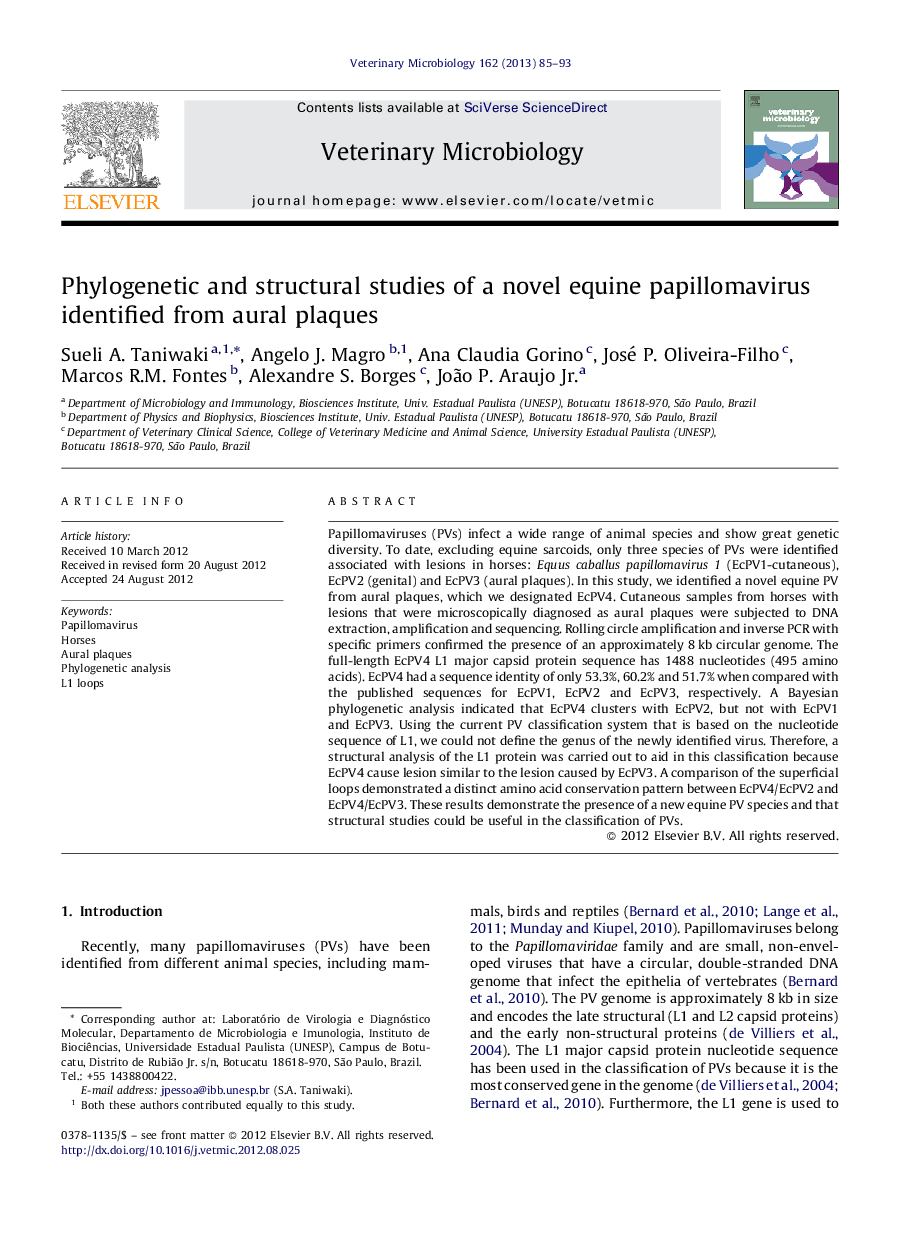 Phylogenetic and structural studies of a novel equine papillomavirus identified from aural plaques