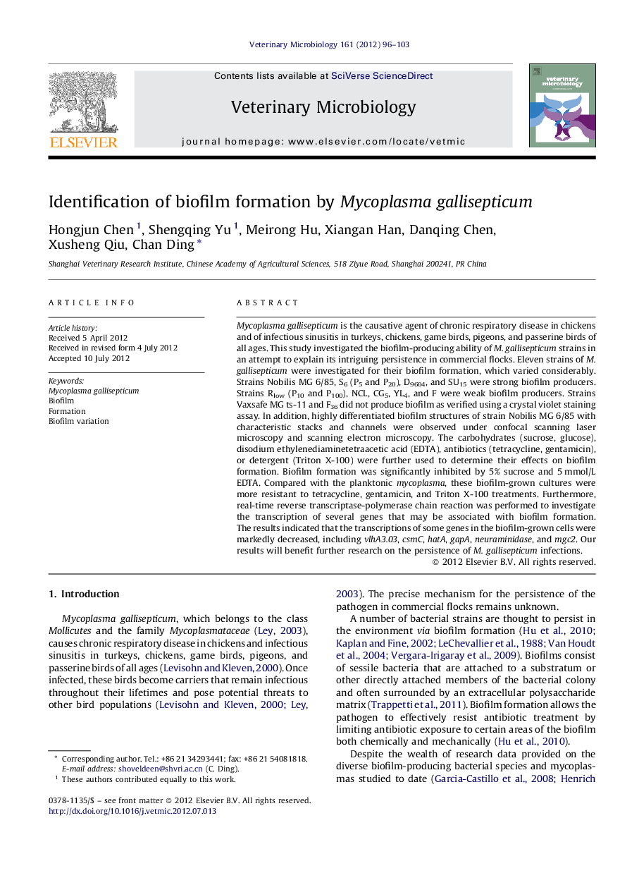 Identification of biofilm formation by Mycoplasma gallisepticum