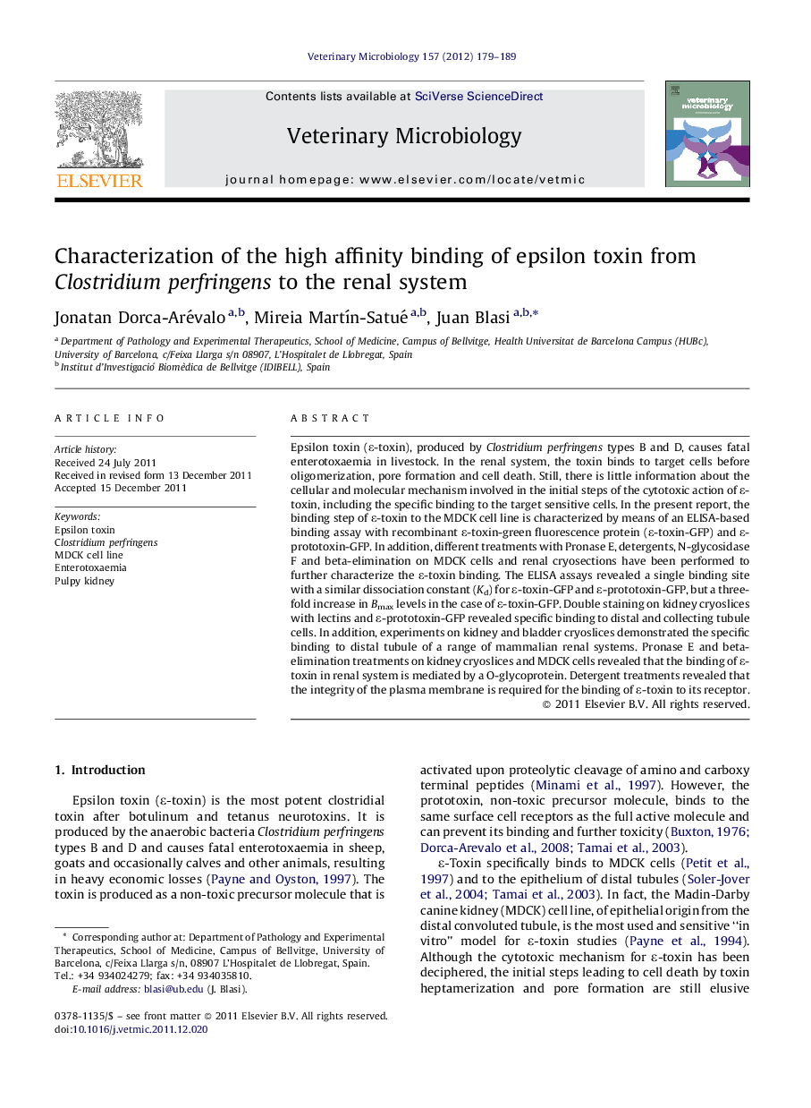 Characterization of the high affinity binding of epsilon toxin from Clostridium perfringens to the renal system