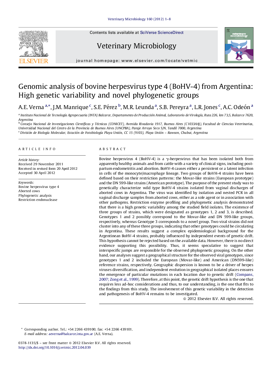 Genomic analysis of bovine herpesvirus type 4 (BoHV-4) from Argentina: High genetic variability and novel phylogenetic groups