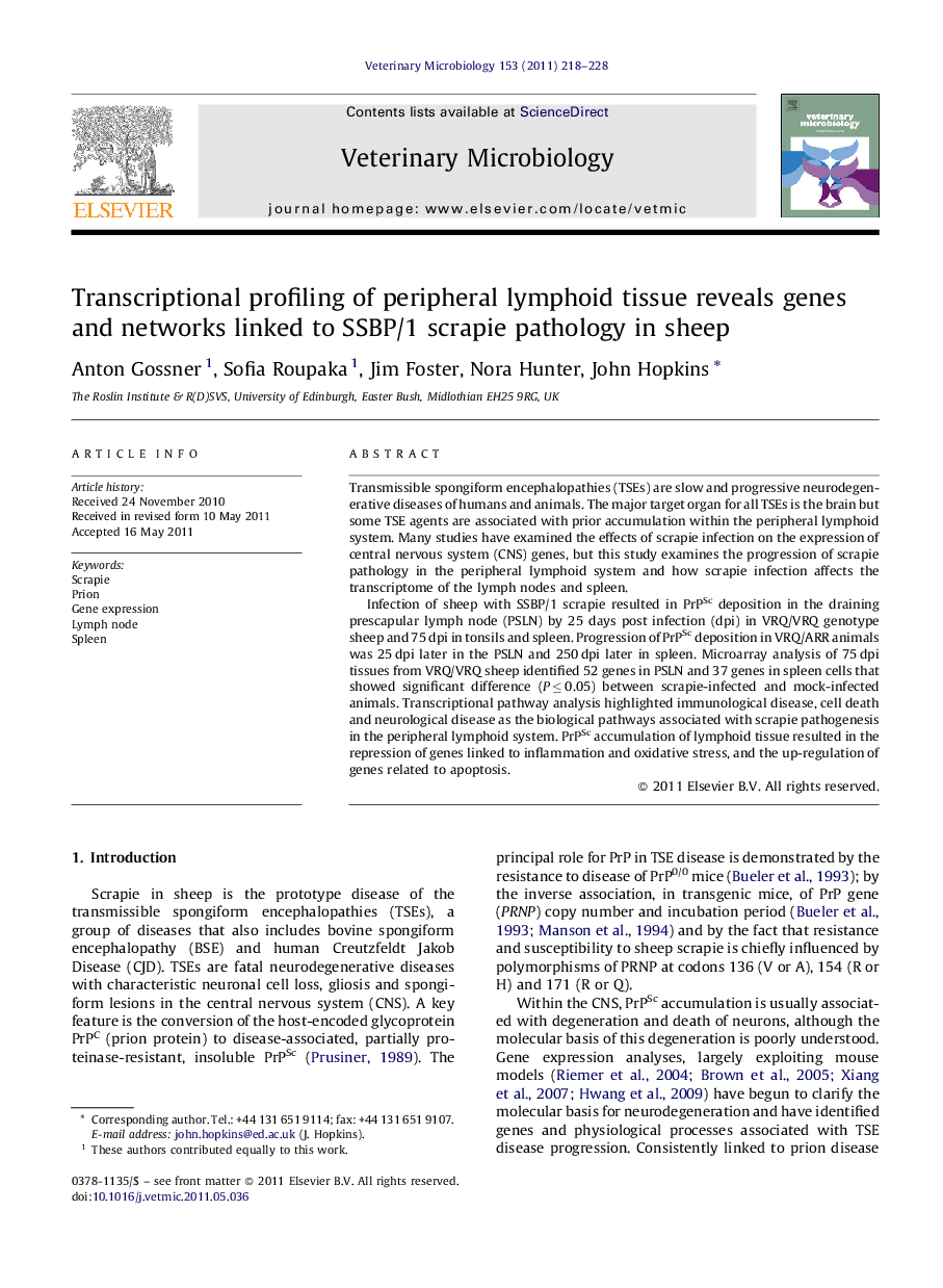 Transcriptional profiling of peripheral lymphoid tissue reveals genes and networks linked to SSBP/1 scrapie pathology in sheep