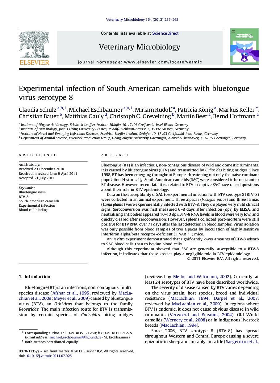 Experimental infection of South American camelids with bluetongue virus serotype 8