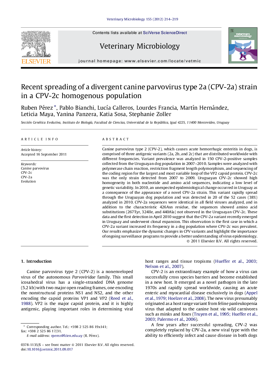 Recent spreading of a divergent canine parvovirus type 2a (CPV-2a) strain in a CPV-2c homogenous population