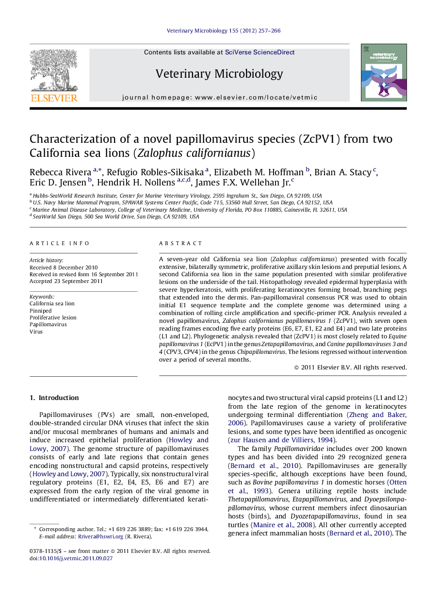 Characterization of a novel papillomavirus species (ZcPV1) from two California sea lions (Zalophus californianus)