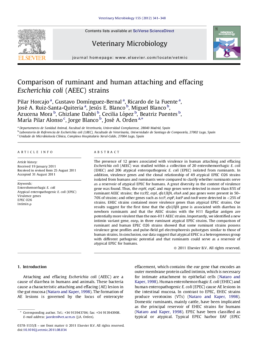 Comparison of ruminant and human attaching and effacing Escherichia coli (AEEC) strains