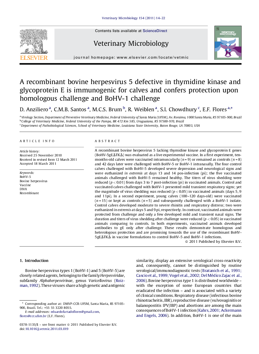 A recombinant bovine herpesvirus 5 defective in thymidine kinase and glycoprotein E is immunogenic for calves and confers protection upon homologous challenge and BoHV-1 challenge