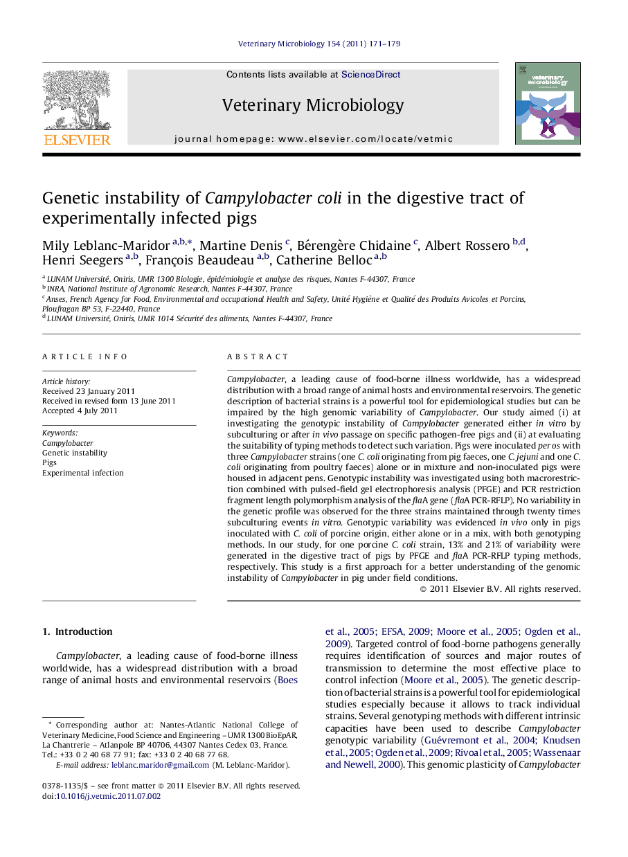 Genetic instability of Campylobacter coli in the digestive tract of experimentally infected pigs