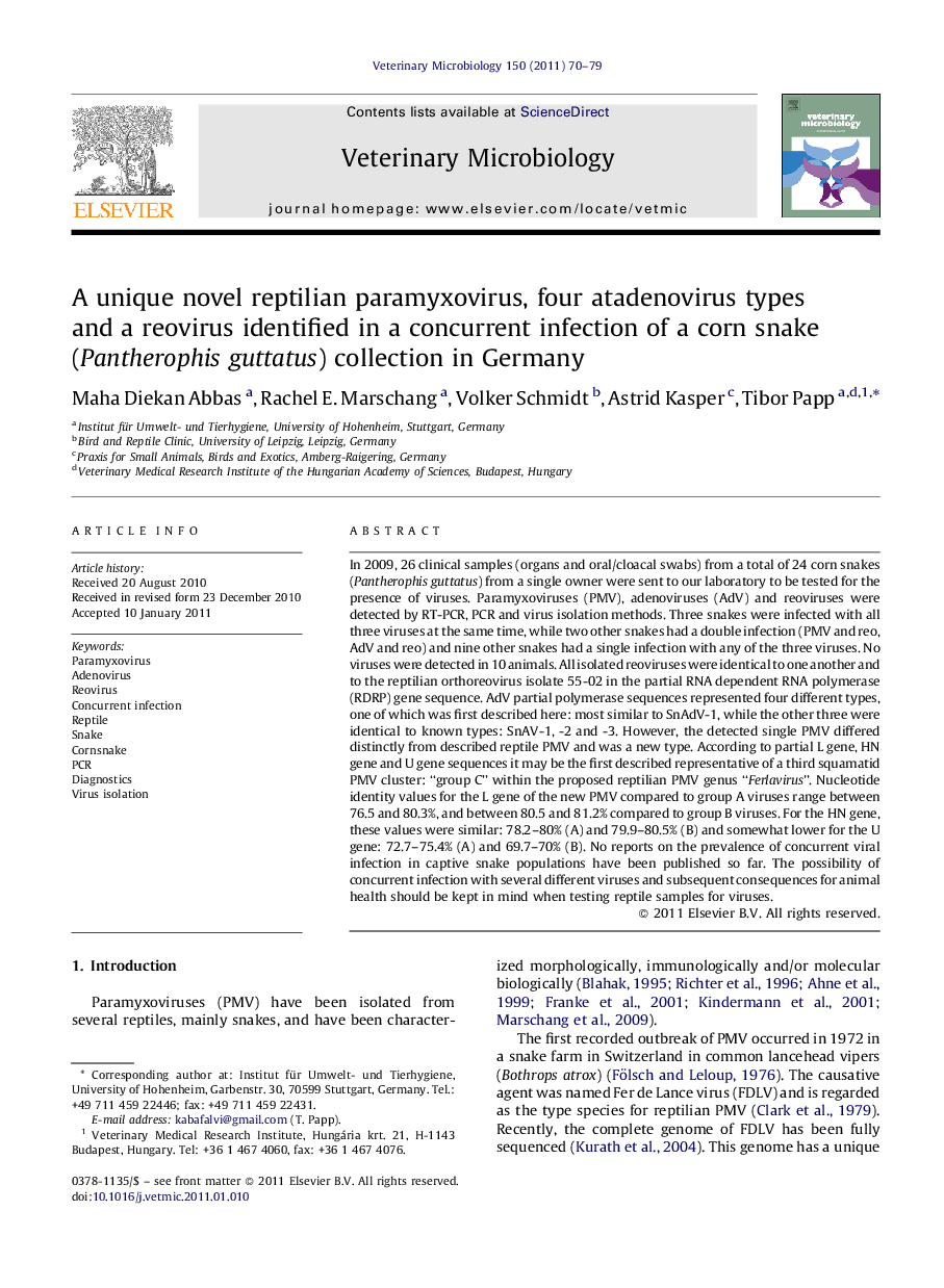 A unique novel reptilian paramyxovirus, four atadenovirus types and a reovirus identified in a concurrent infection of a corn snake (Pantherophis guttatus) collection in Germany