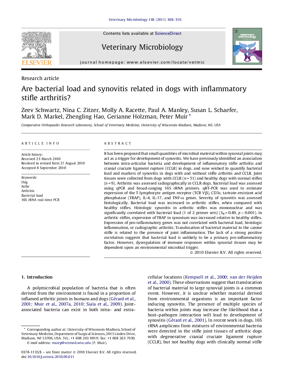 Are bacterial load and synovitis related in dogs with inflammatory stifle arthritis?