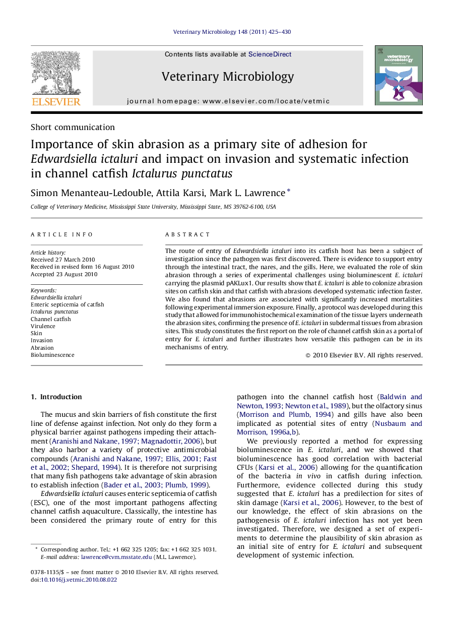 Importance of skin abrasion as a primary site of adhesion for Edwardsiella ictaluri and impact on invasion and systematic infection in channel catfish Ictalurus punctatus