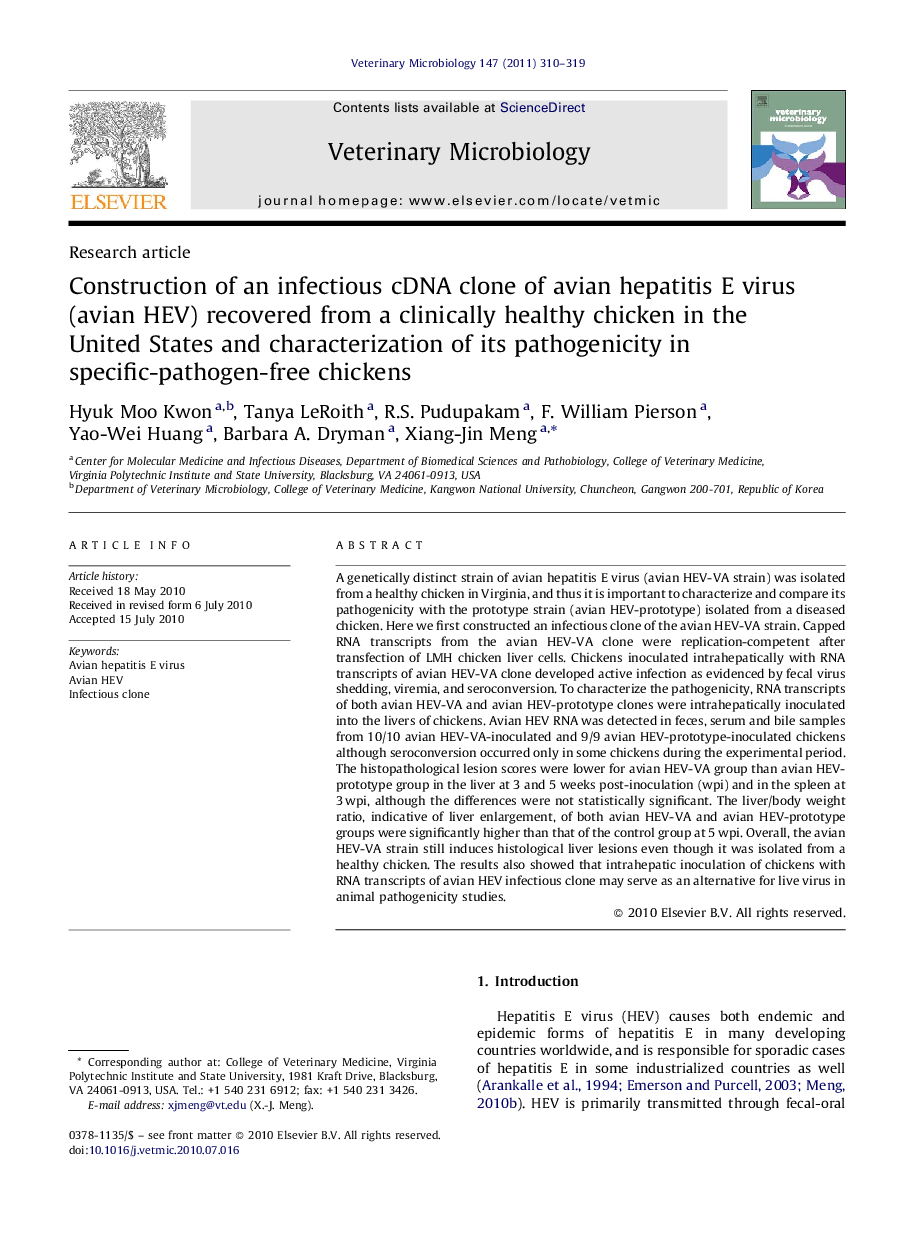 Construction of an infectious cDNA clone of avian hepatitis E virus (avian HEV) recovered from a clinically healthy chicken in the United States and characterization of its pathogenicity in specific-pathogen-free chickens