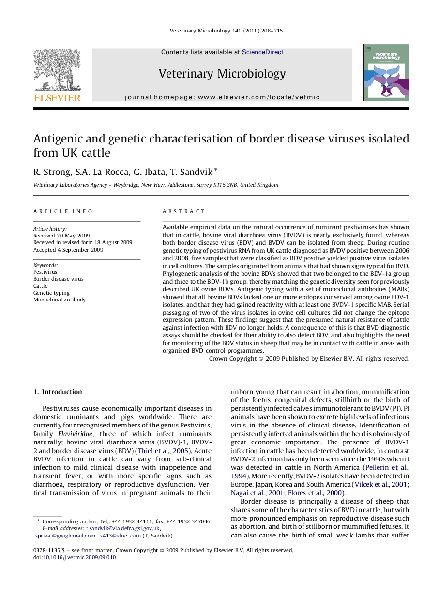 Antigenic and genetic characterisation of border disease viruses isolated from UK cattle