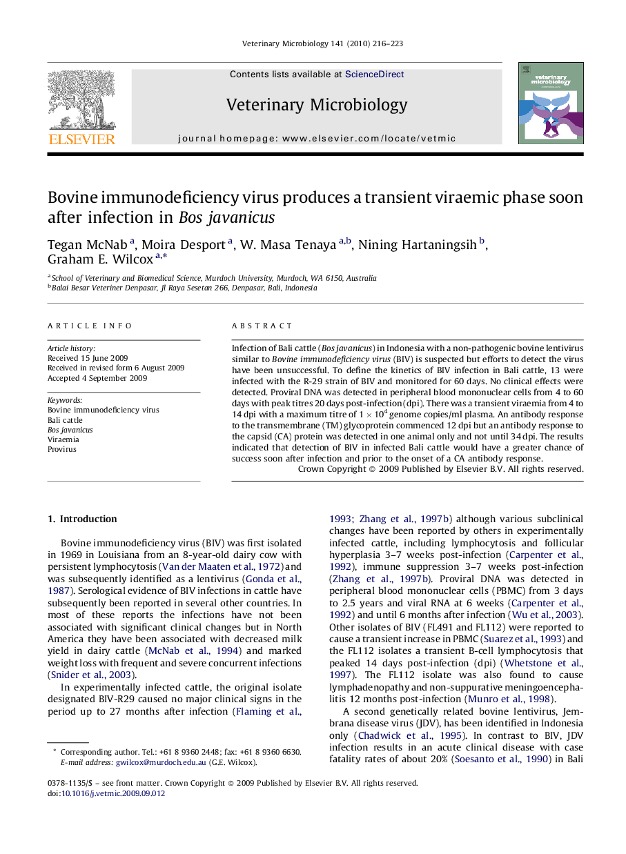 Bovine immunodeficiency virus produces a transient viraemic phase soon after infection in Bos javanicus