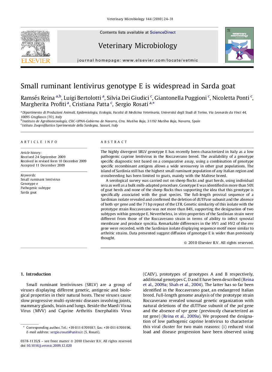 Small ruminant lentivirus genotype E is widespread in Sarda goat