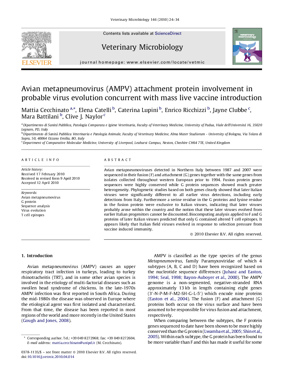 Avian metapneumovirus (AMPV) attachment protein involvement in probable virus evolution concurrent with mass live vaccine introduction