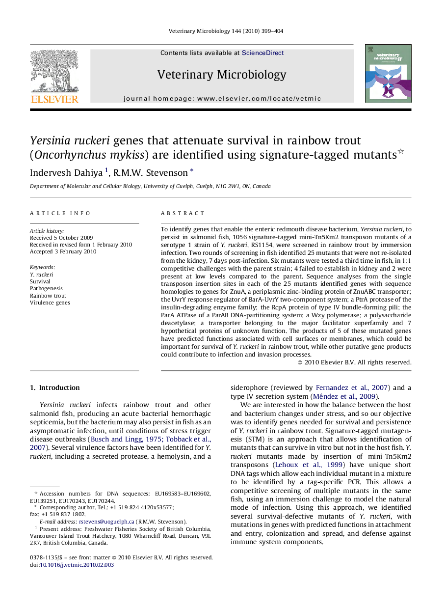 Yersinia ruckeri genes that attenuate survival in rainbow trout (Oncorhynchus mykiss) are identified using signature-tagged mutants 