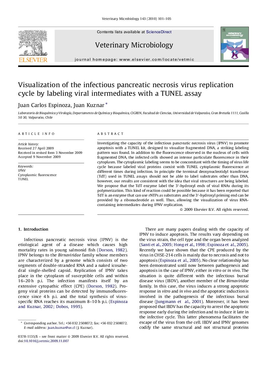 Visualization of the infectious pancreatic necrosis virus replication cycle by labeling viral intermediates with a TUNEL assay