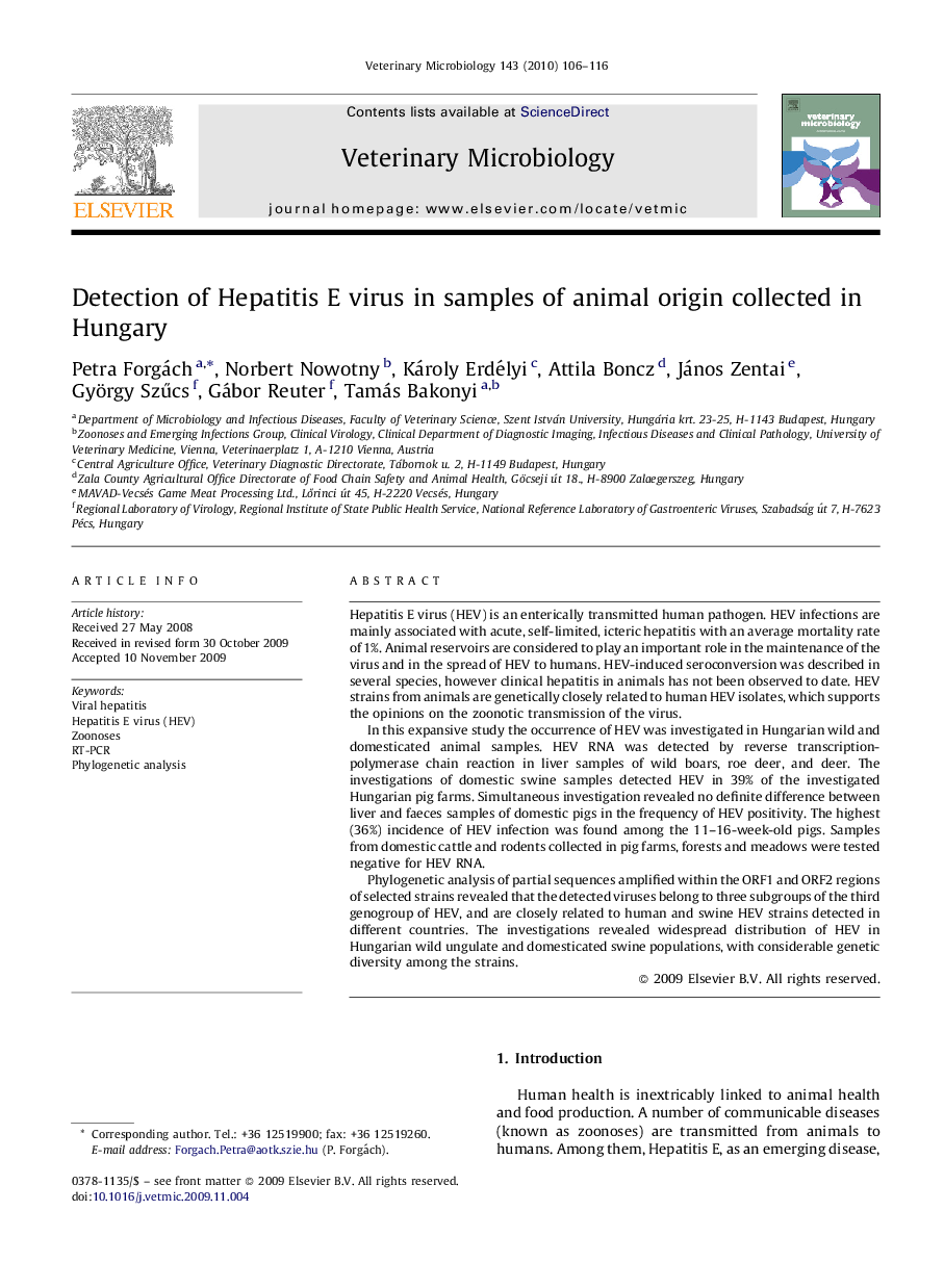 Detection of Hepatitis E virus in samples of animal origin collected in Hungary