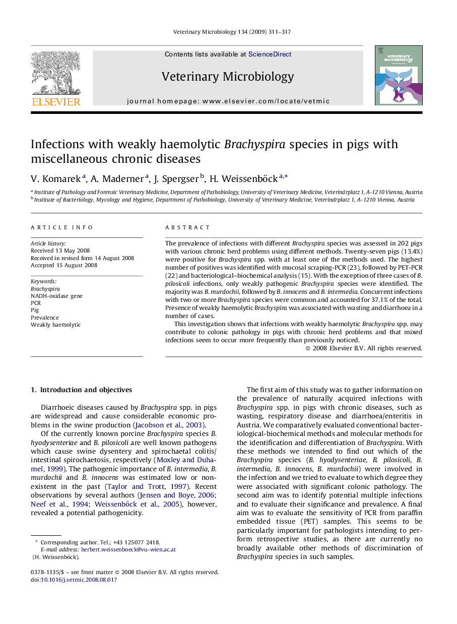 Infections with weakly haemolytic Brachyspira species in pigs with miscellaneous chronic diseases