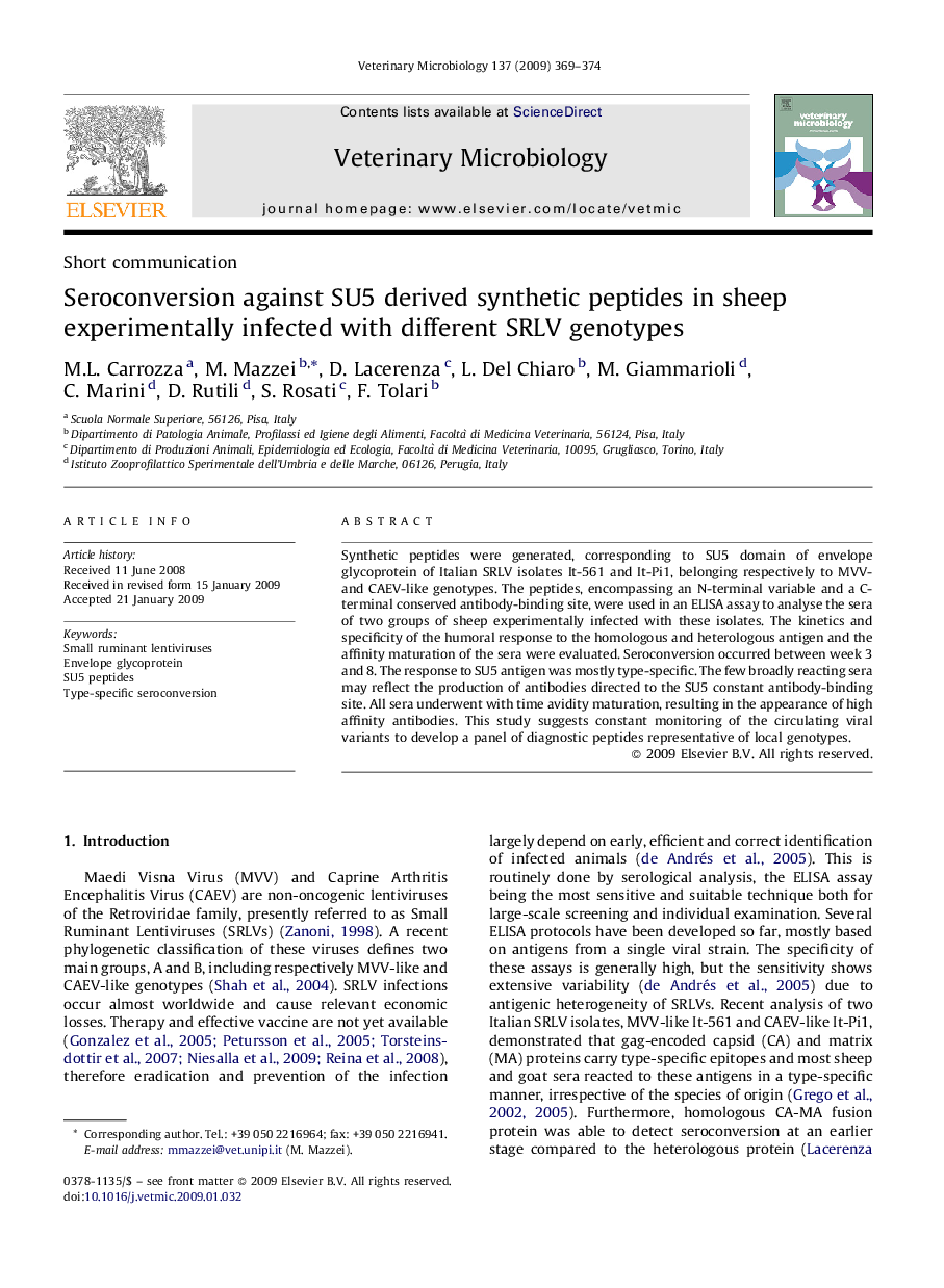 Seroconversion against SU5 derived synthetic peptides in sheep experimentally infected with different SRLV genotypes