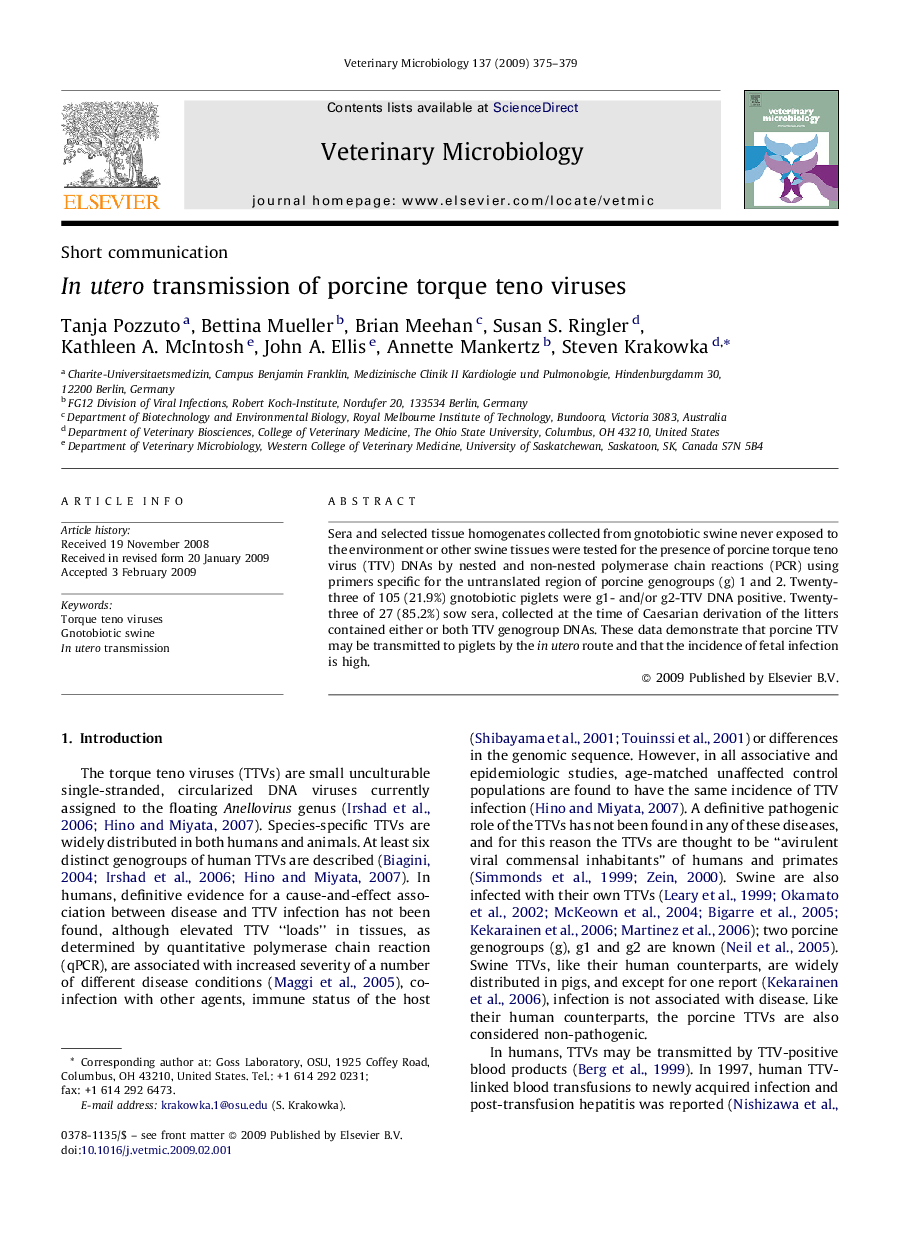 In utero transmission of porcine torque teno viruses