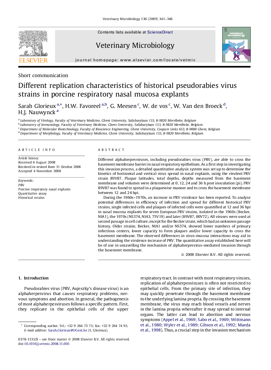 Different replication characteristics of historical pseudorabies virus strains in porcine respiratory nasal mucosa explants