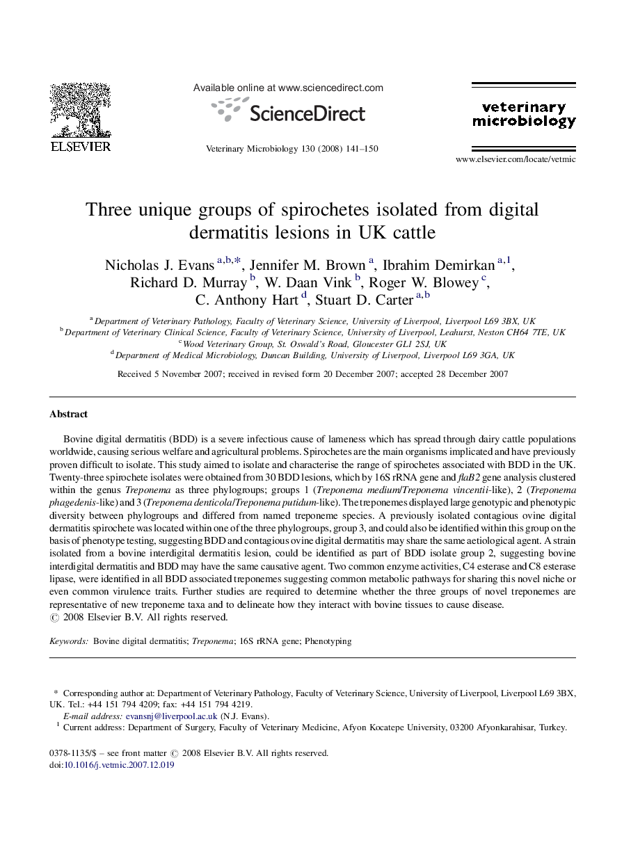 Three unique groups of spirochetes isolated from digital dermatitis lesions in UK cattle