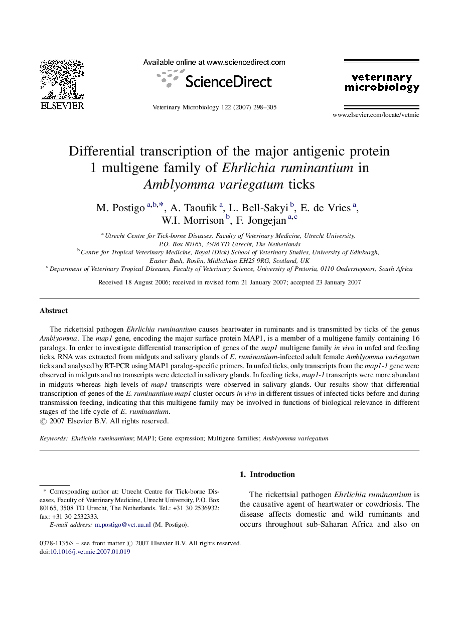 Differential transcription of the major antigenic protein 1 multigene family of Ehrlichia ruminantium in Amblyomma variegatum ticks