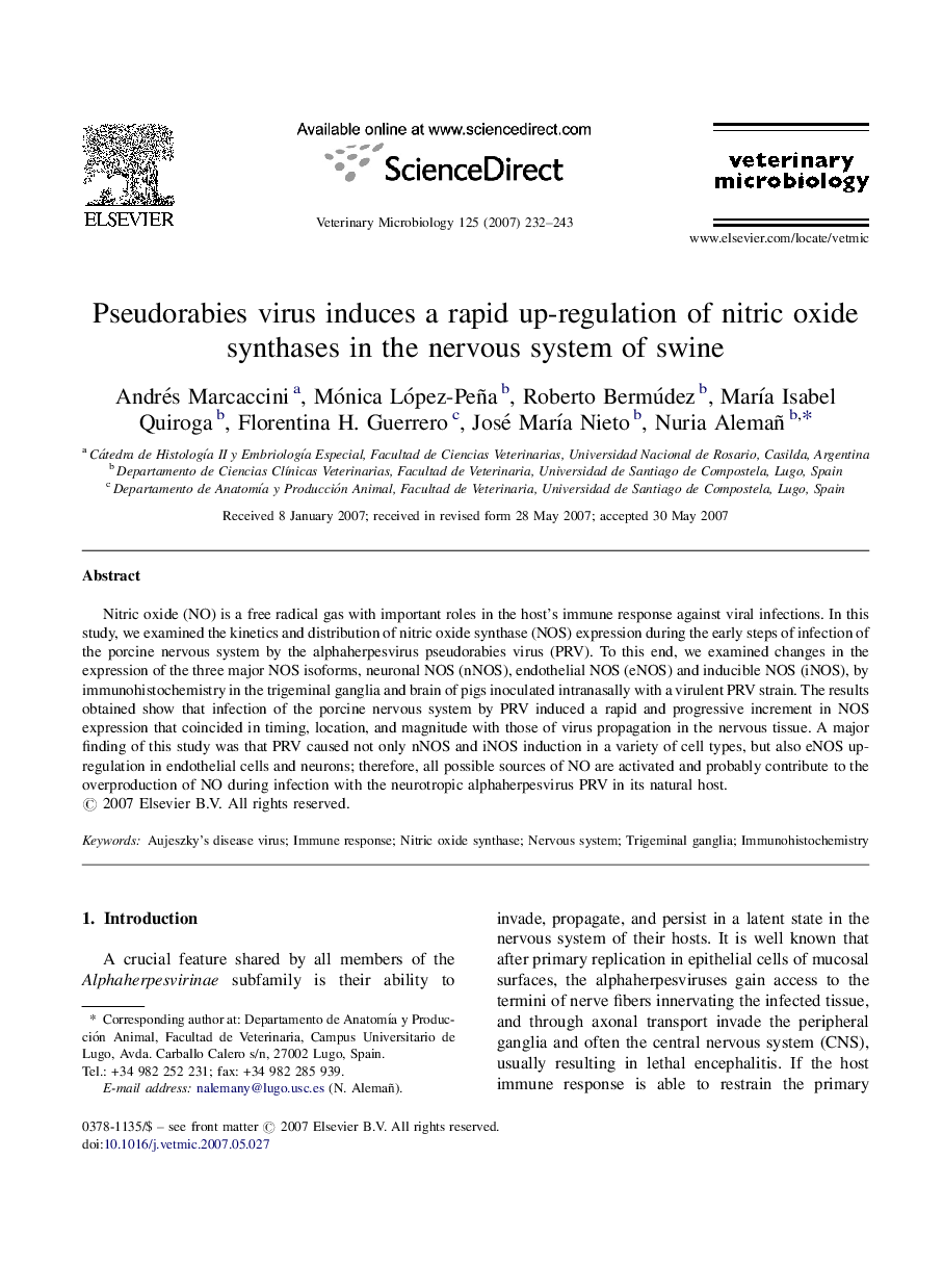 Pseudorabies virus induces a rapid up-regulation of nitric oxide synthases in the nervous system of swine