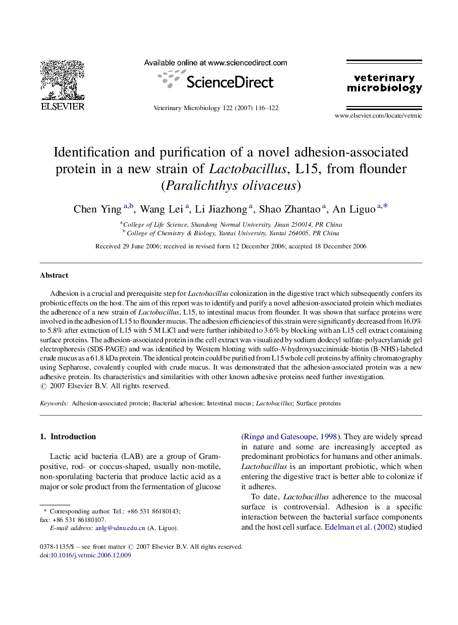 Identification and purification of a novel adhesion-associated protein in a new strain of Lactobacillus, L15, from flounder (Paralichthys olivaceus)