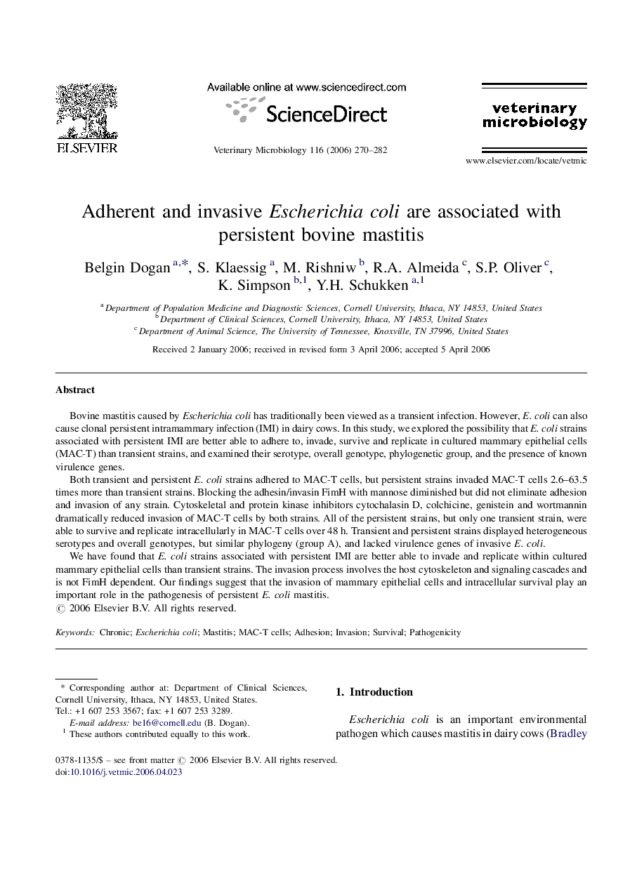 Adherent and invasive Escherichia coli are associated with persistent bovine mastitis