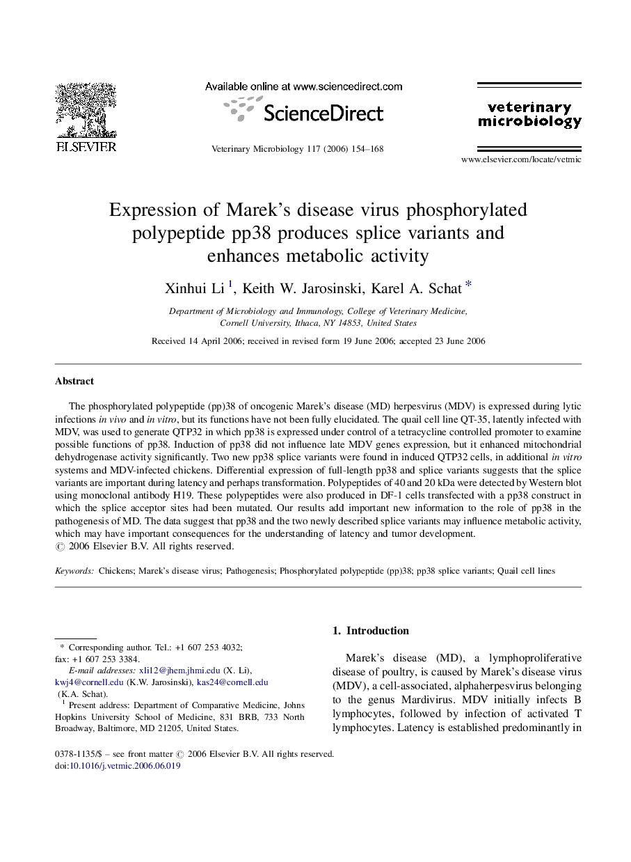 Expression of Marek's disease virus phosphorylated polypeptide pp38 produces splice variants and enhances metabolic activity