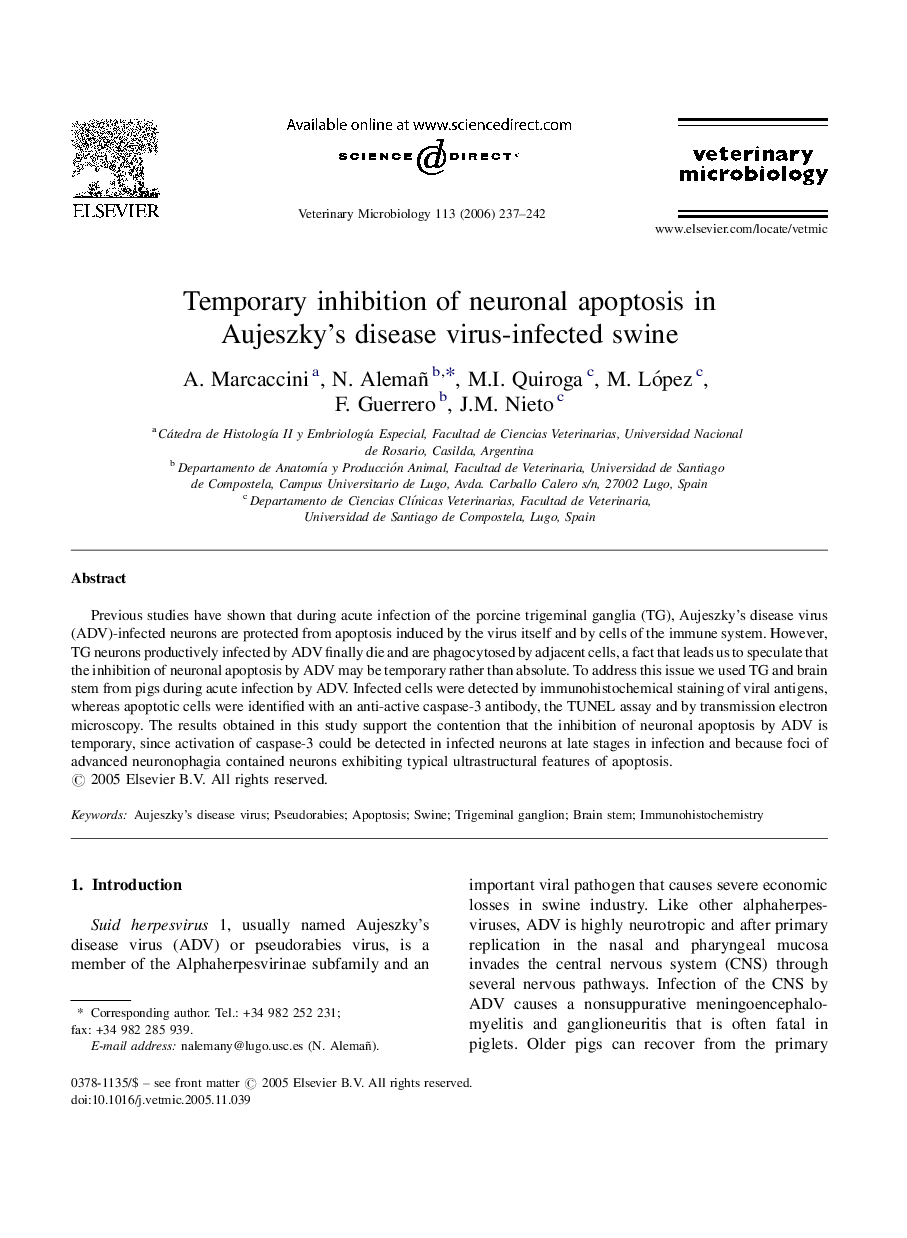 Temporary inhibition of neuronal apoptosis in Aujeszky's disease virus-infected swine