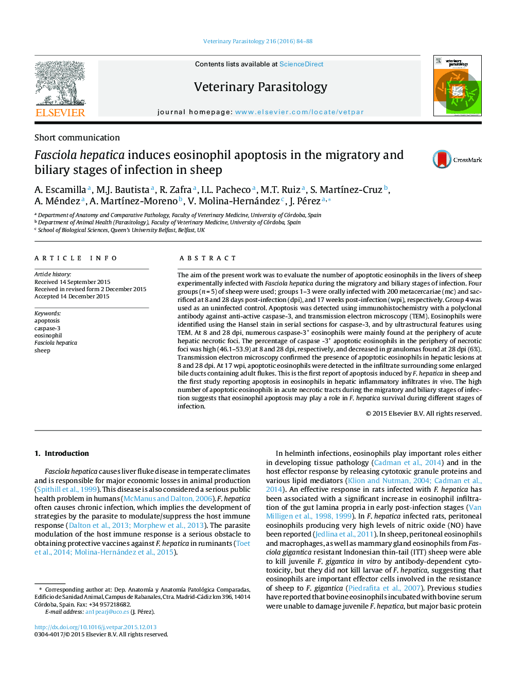 Fasciola hepatica باعث ایجاد آپوپتوز ائوزینوفیل در مراحل مهاجرت و صفراوی عفونت در گوسفند می شود