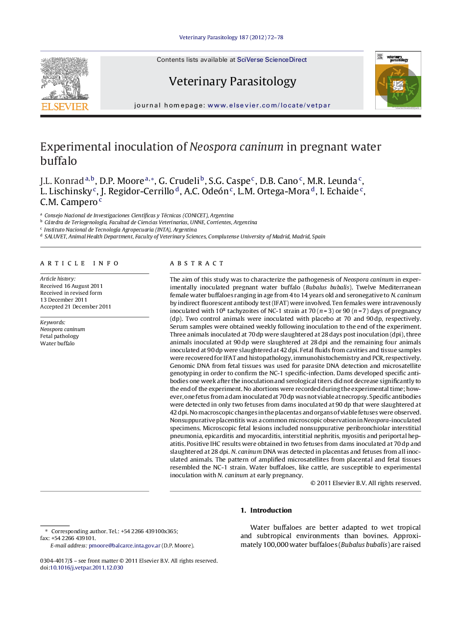 Experimental inoculation of Neospora caninum in pregnant water buffalo