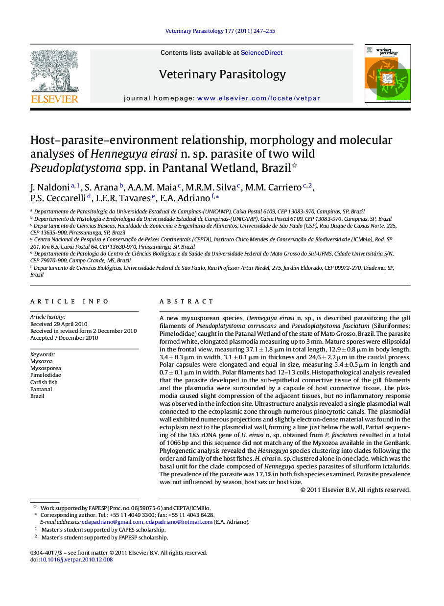 Host–parasite–environment relationship, morphology and molecular analyses of Henneguya eirasi n. sp. parasite of two wild Pseudoplatystoma spp. in Pantanal Wetland, Brazil 