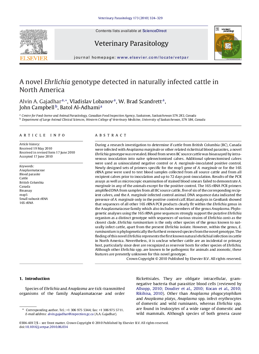 A novel Ehrlichia genotype detected in naturally infected cattle in North America